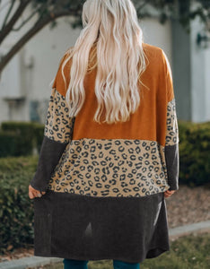 Ryan Leopard Colorblock Cardigan